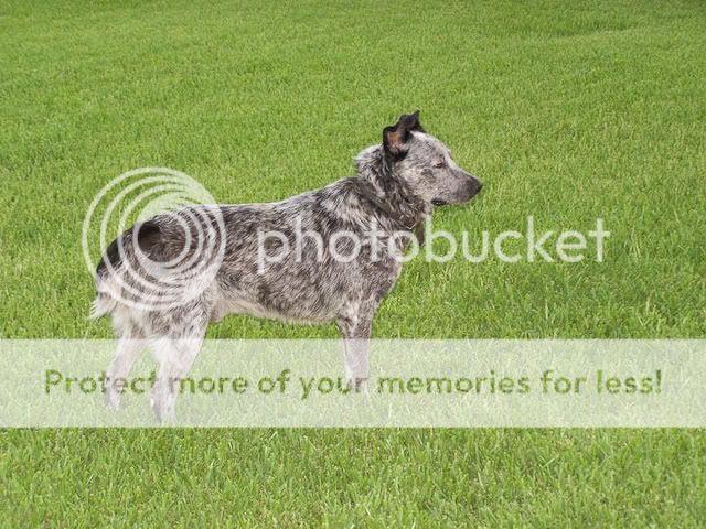 Posted Image