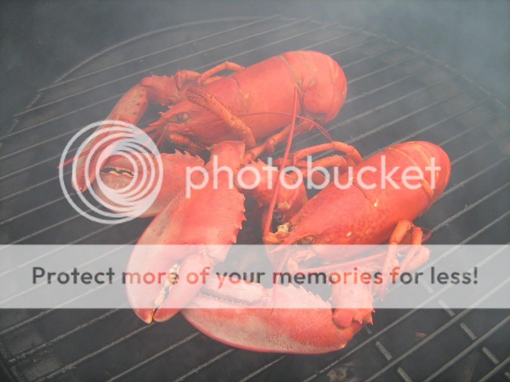 Lobster005.jpg