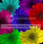 e10b3e31cf64b4e4.jpg flowers image by brionne_2009