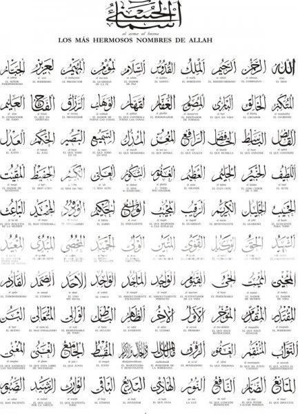  photo 000j01pNoAF_zps04b01001.jpg