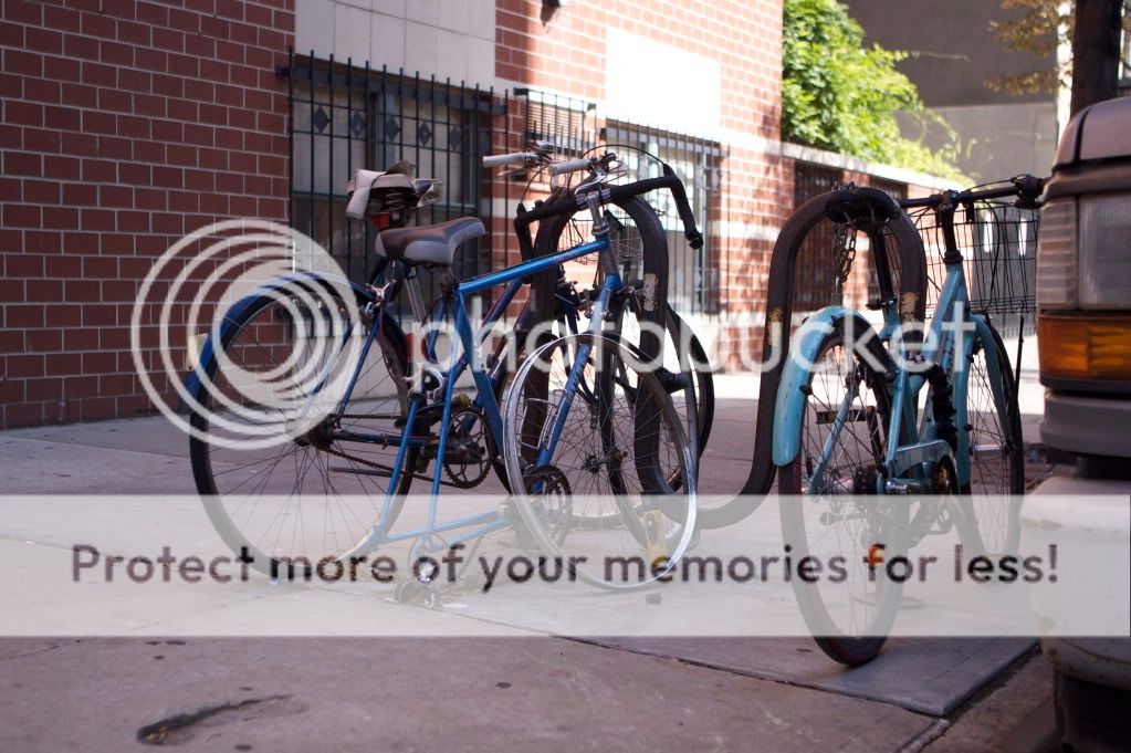 IMAGE: http://i658.photobucket.com/albums/uu307/NeMahooch/IMG_0509.jpg