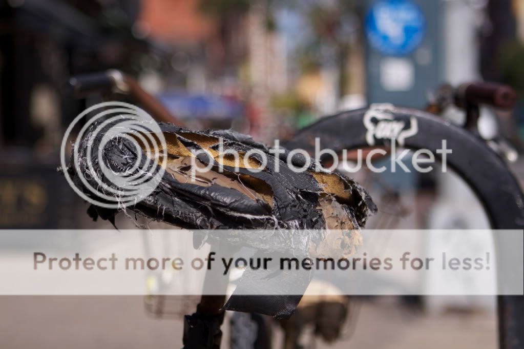 IMAGE: http://i658.photobucket.com/albums/uu307/NeMahooch/IMG_0571-1.jpg