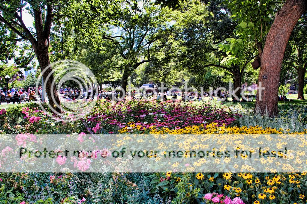 IMAGE: http://i658.photobucket.com/albums/uu307/NeMahooch/IMG_2427.jpg