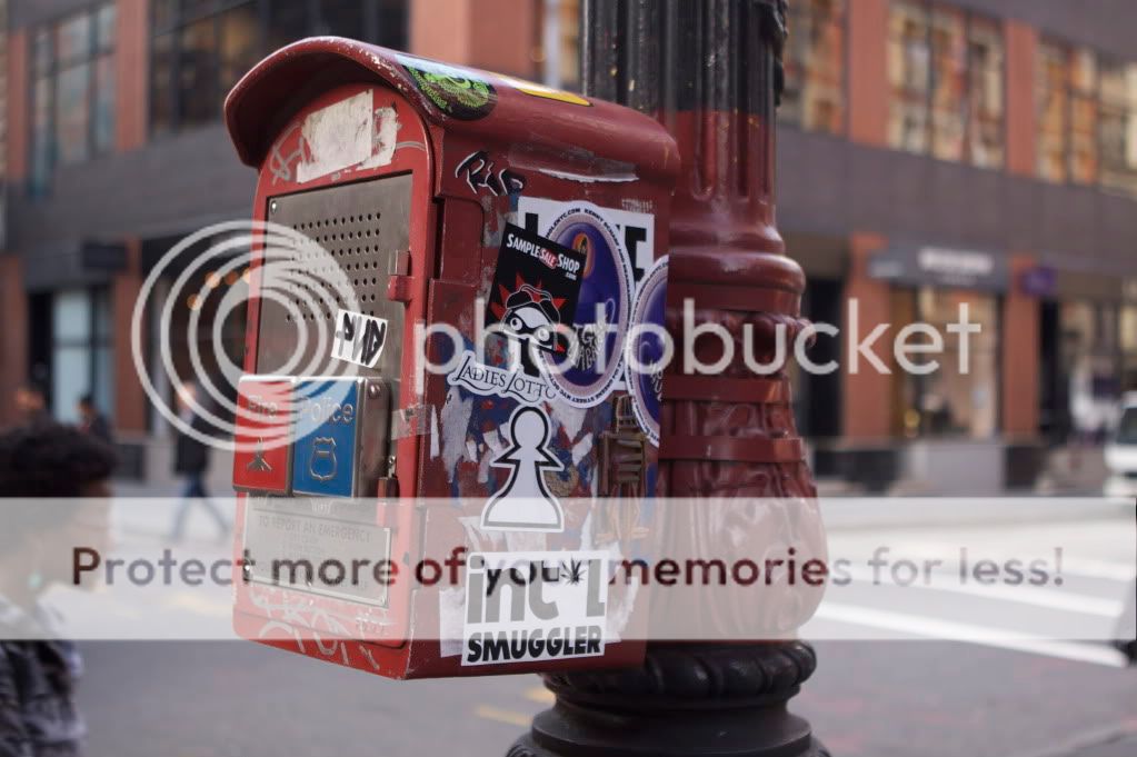 IMAGE: http://i658.photobucket.com/albums/uu307/NeMahooch/IMG_3035.jpg