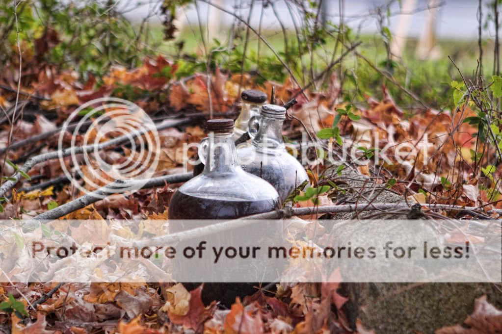 IMAGE: http://i658.photobucket.com/albums/uu307/NeMahooch/IMG_4070-1.jpg