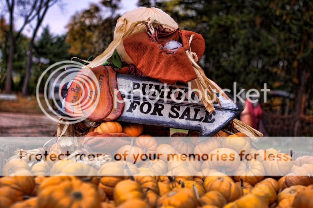 IMAGE: http://i658.photobucket.com/albums/uu307/NeMahooch/IMG_4129.jpg