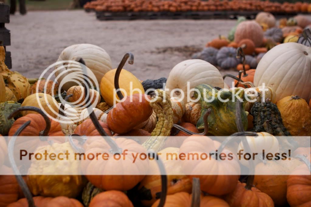 IMAGE: http://i658.photobucket.com/albums/uu307/NeMahooch/IMG_4142.jpg