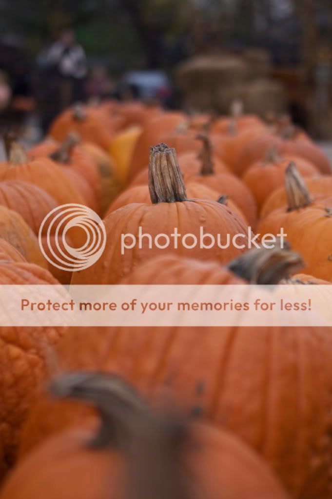 IMAGE: http://i658.photobucket.com/albums/uu307/NeMahooch/IMG_4151.jpg