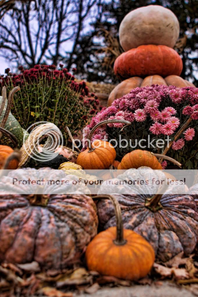 IMAGE: http://i658.photobucket.com/albums/uu307/NeMahooch/IMG_4208.jpg