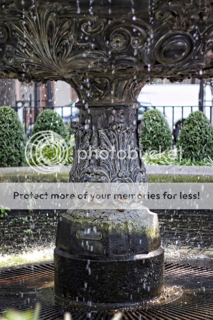 IMAGE: http://i658.photobucket.com/albums/uu307/NeMahooch/IMG_5929.jpg