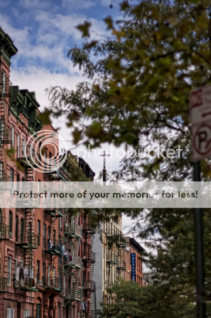 IMAGE: http://i658.photobucket.com/albums/uu307/NeMahooch/IMG_7651.jpg