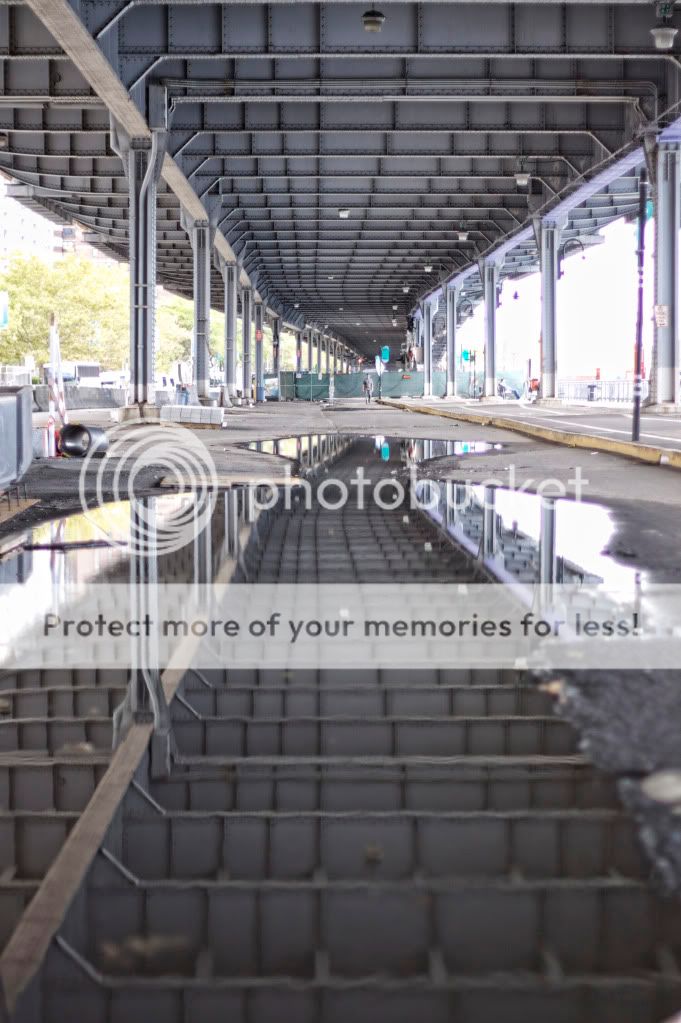 IMAGE: http://i658.photobucket.com/albums/uu307/NeMahooch/IMG_7756.jpg