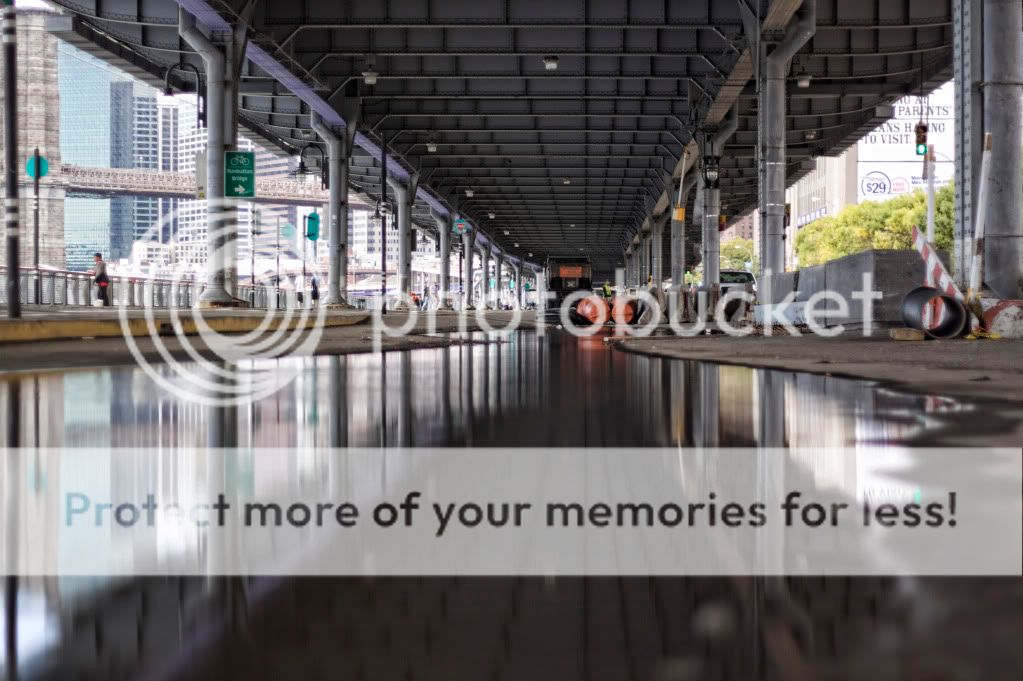 IMAGE: http://i658.photobucket.com/albums/uu307/NeMahooch/IMG_7781-1.jpg