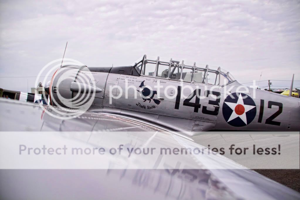 IMAGE: http://i658.photobucket.com/albums/uu307/NeMahooch/IMG_9363.jpg