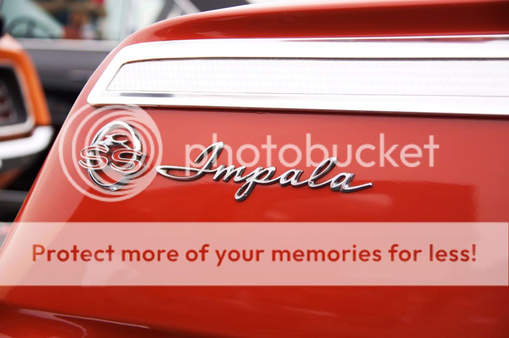 IMAGE: http://i658.photobucket.com/albums/uu307/NeMahooch/IMG_9476.jpg