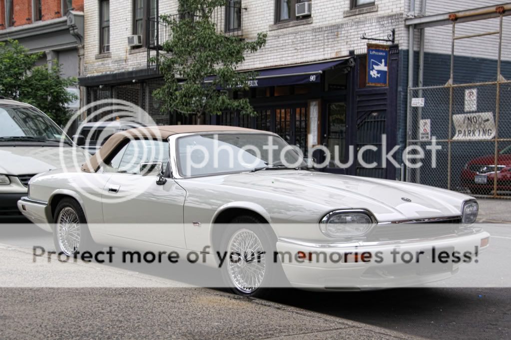 IMAGE: http://i658.photobucket.com/albums/uu307/NeMahooch/Spring%202010/IMG_0302.jpg