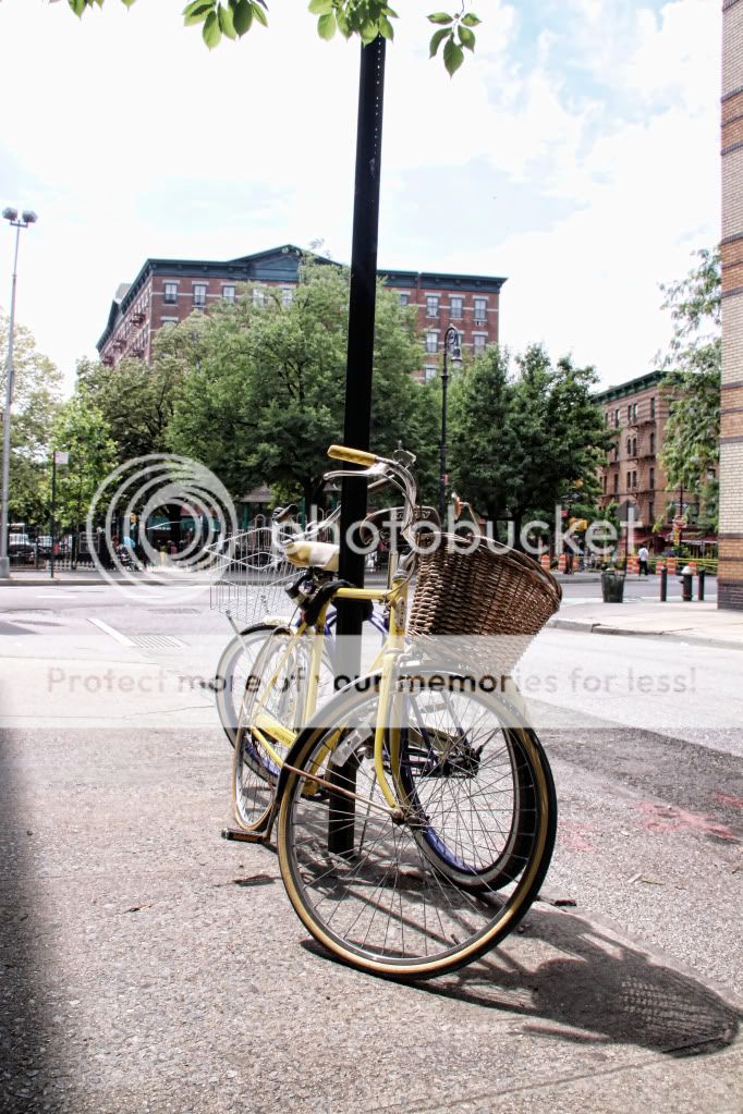 IMAGE: http://i658.photobucket.com/albums/uu307/NeMahooch/Spring%202010/IMG_0773-1.jpg