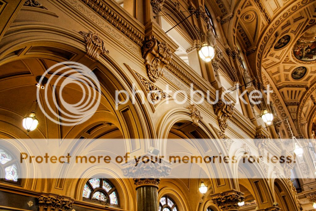 IMAGE: http://i658.photobucket.com/albums/uu307/NeMahooch/Spring%202010/IMG_0773.jpg