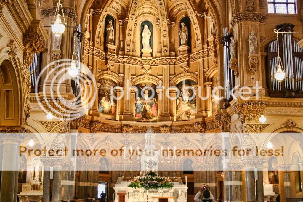 IMAGE: http://i658.photobucket.com/albums/uu307/NeMahooch/Spring%202010/IMG_0779.jpg