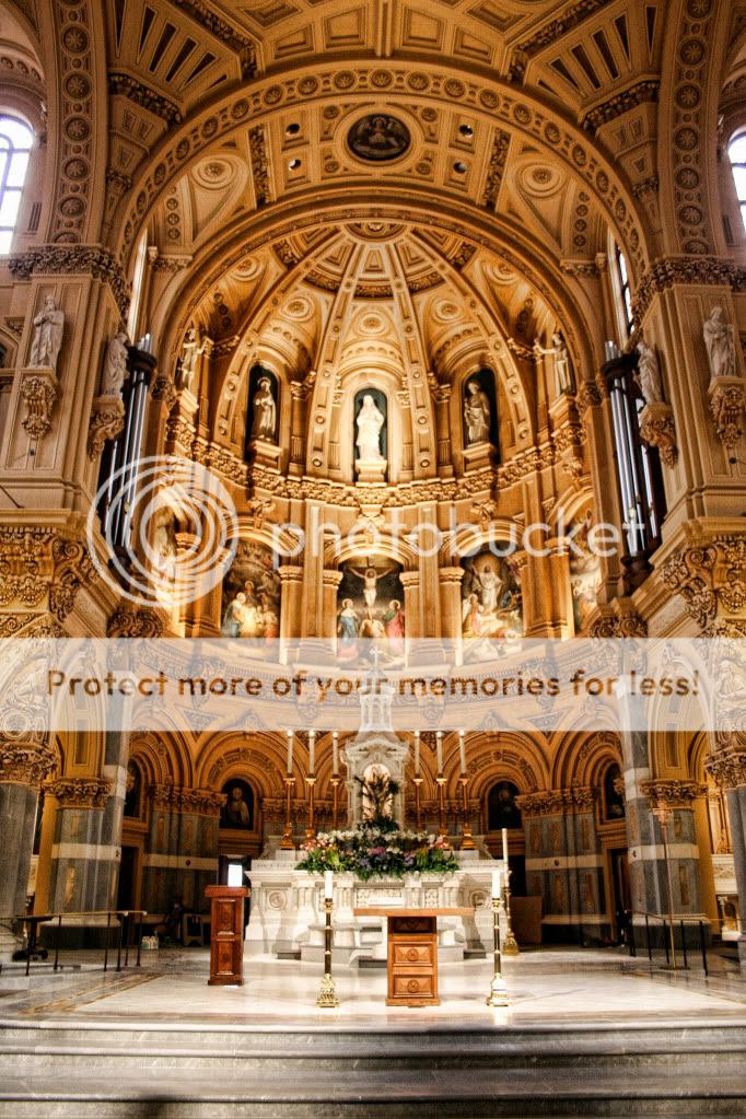 IMAGE: http://i658.photobucket.com/albums/uu307/NeMahooch/Spring%202010/IMG_0782.jpg