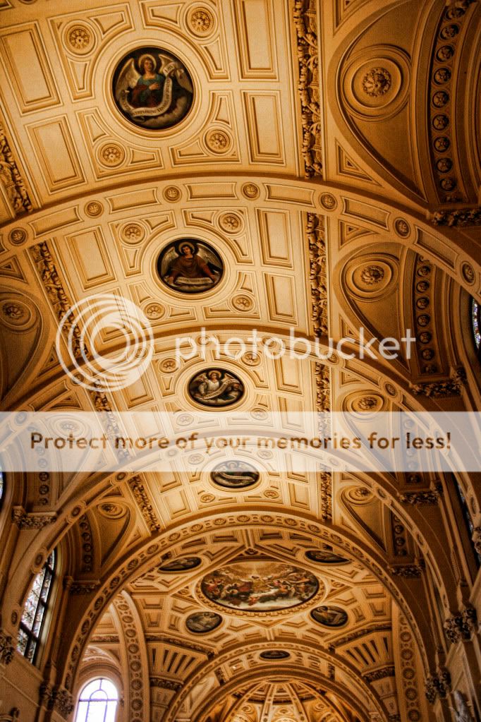 IMAGE: http://i658.photobucket.com/albums/uu307/NeMahooch/Spring%202010/IMG_0858.jpg