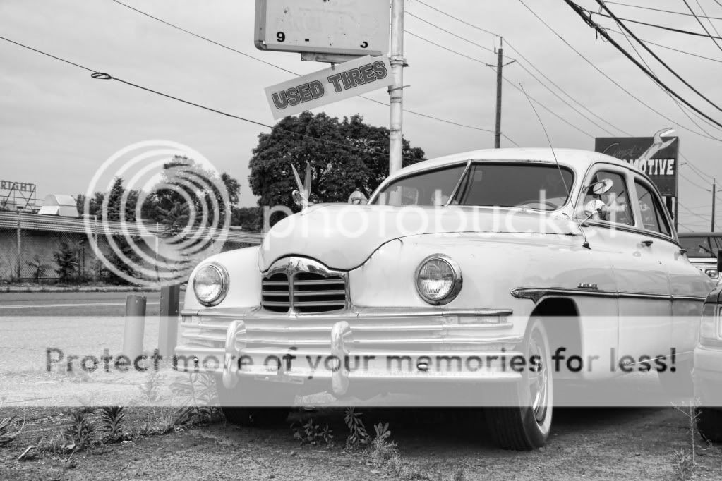 IMAGE: http://i658.photobucket.com/albums/uu307/NeMahooch/Spring%202010/IMG_1004.jpg