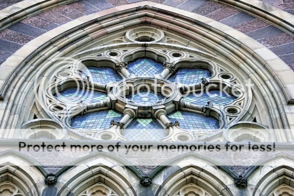 IMAGE: http://i658.photobucket.com/albums/uu307/NeMahooch/Spring%202010/IMG_2451.jpg