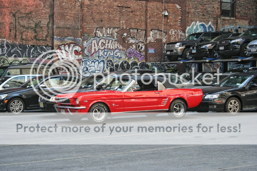 IMAGE: http://i658.photobucket.com/albums/uu307/NeMahooch/Spring%202010/IMG_4050.jpg