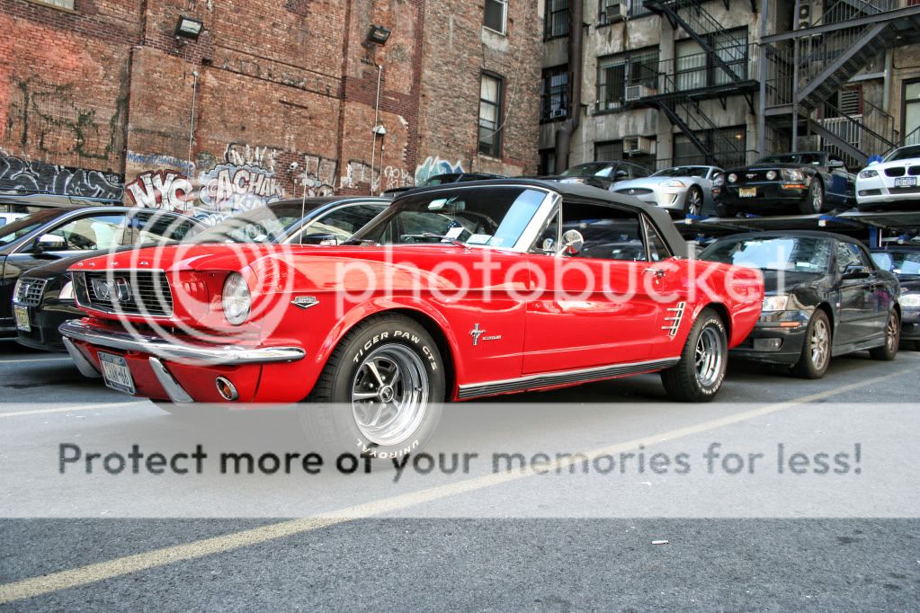 IMAGE: http://i658.photobucket.com/albums/uu307/NeMahooch/Spring%202010/IMG_4054.jpg