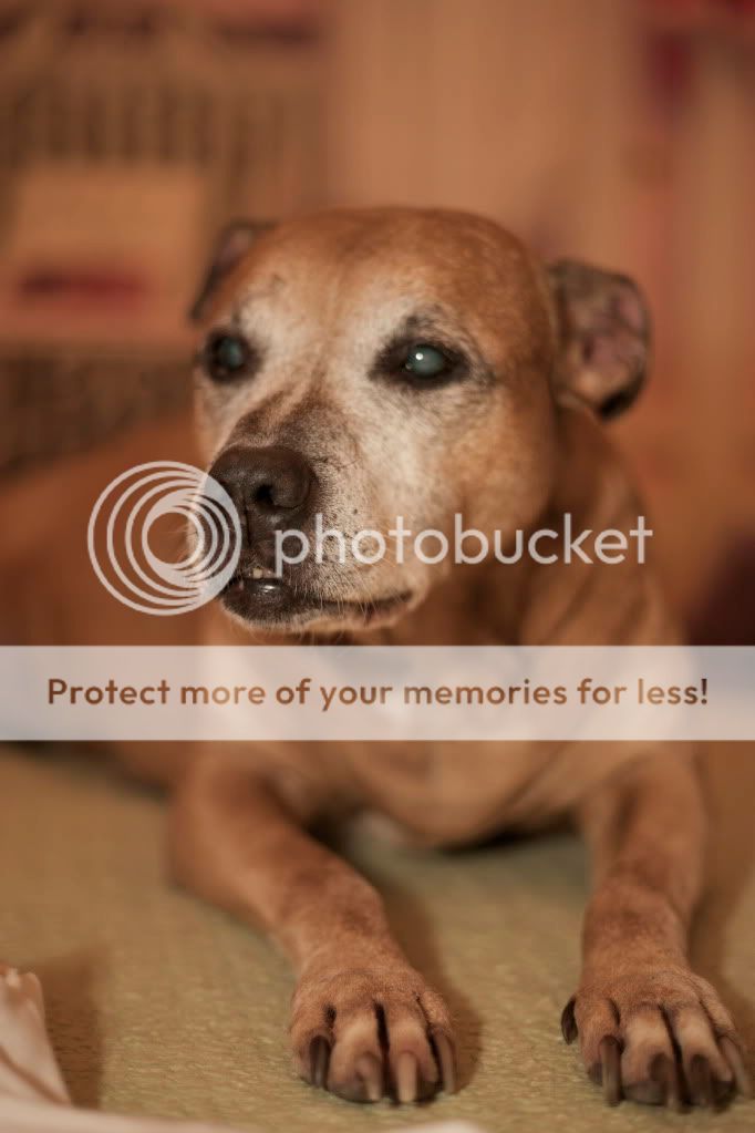 IMAGE: http://i658.photobucket.com/albums/uu307/NeMahooch/random%20people/IMG_6114.jpg