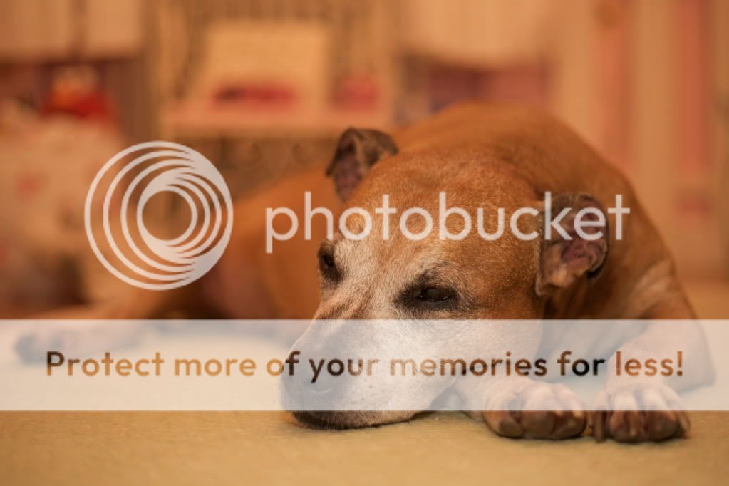 IMAGE: http://i658.photobucket.com/albums/uu307/NeMahooch/random%20people/IMG_6117.jpg