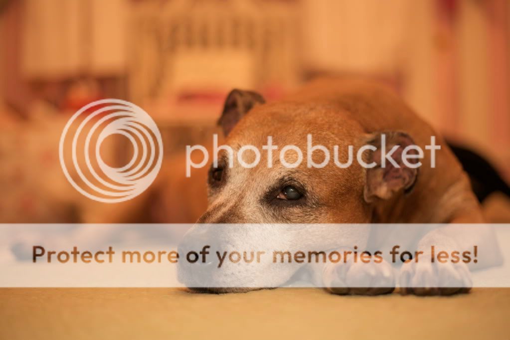 IMAGE: http://i658.photobucket.com/albums/uu307/NeMahooch/random%20people/IMG_6127.jpg