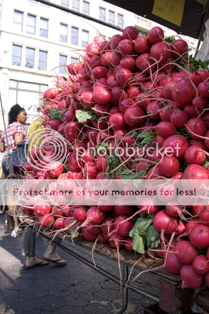 IMAGE: http://i658.photobucket.com/albums/uu307/NeMahooch/renaissance%20faire/IMG_7068.jpg