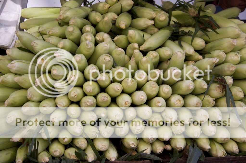 IMAGE: http://i658.photobucket.com/albums/uu307/NeMahooch/renaissance%20faire/IMG_7080.jpg