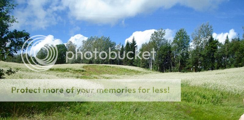 photo IMG_6486.jpg
