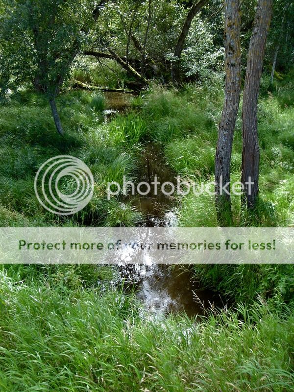 photo IMG_6488.jpg