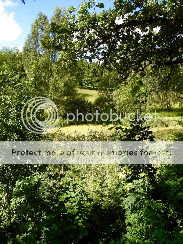 photo IMG_6504.jpg