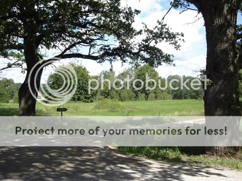 photo IMG_6509.jpg