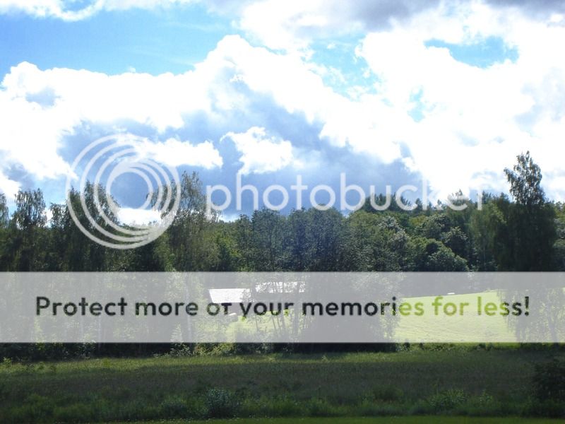 photo IMG_6512.jpg