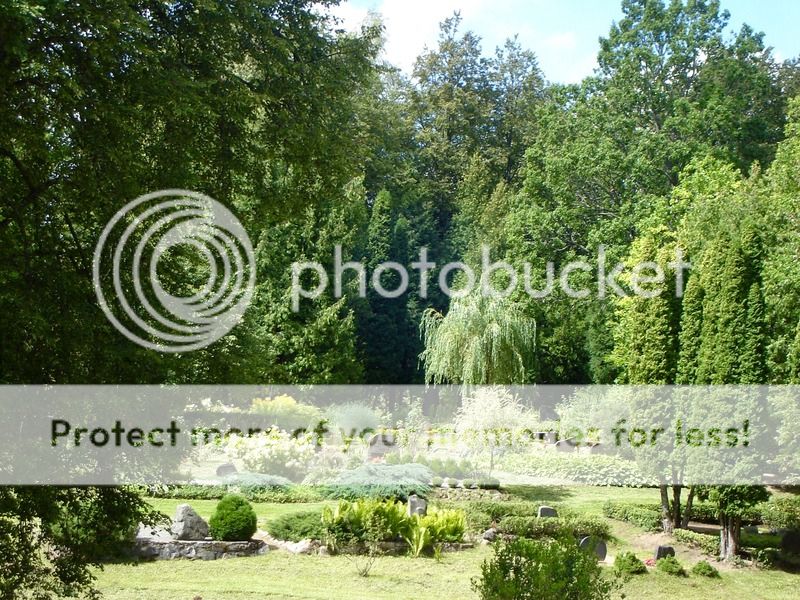 photo IMG_6515.jpg