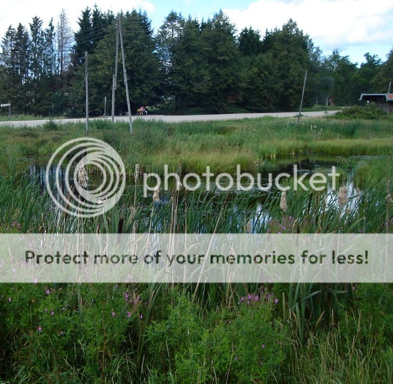 photo IMG_6528.jpg