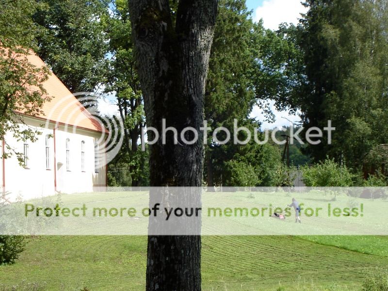 photo IMG_6531.jpg