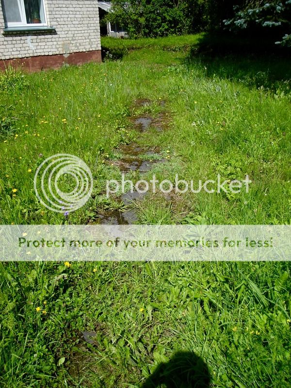 photo img_6481.jpg