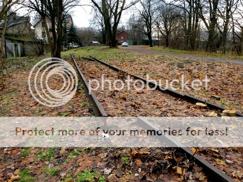 photo image_6.jpeg