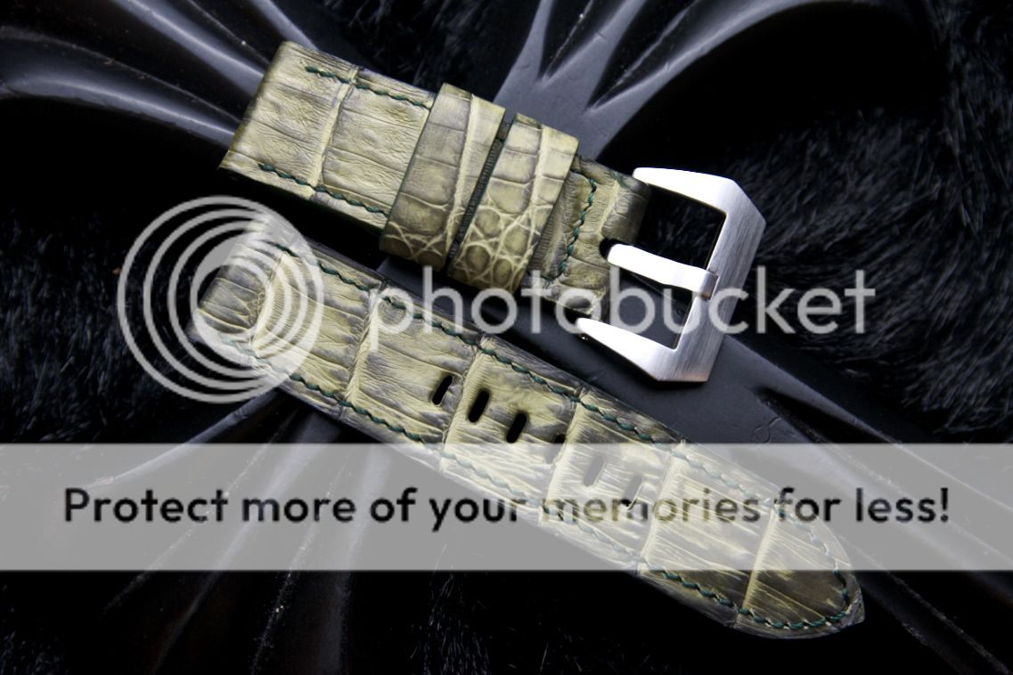 ray   一帖 表带分享图