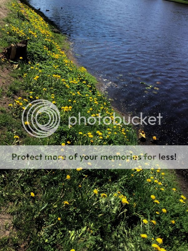 photo IMG_6915.jpg
