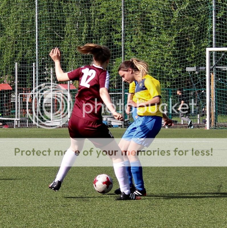 photo IMG_7313.jpg