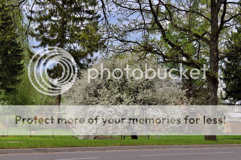 photo IMG_7062.jpg
