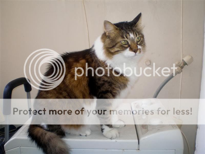 Photobucket
