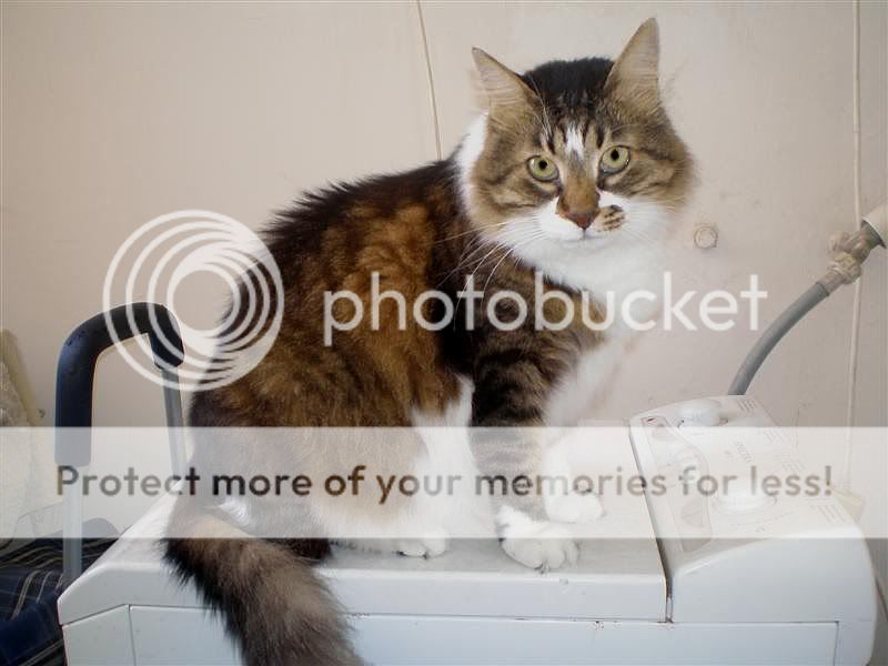 Photobucket